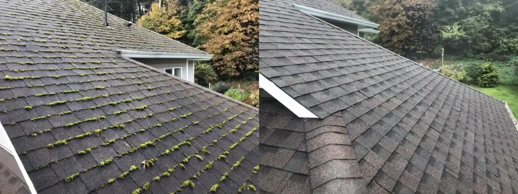 Asphalt Shingle Roof Cleaning (1)