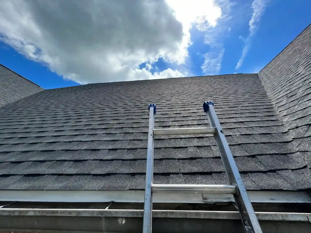 Asphalt Shingle Roofs