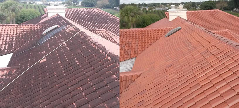 Tile Roof Cleaning
