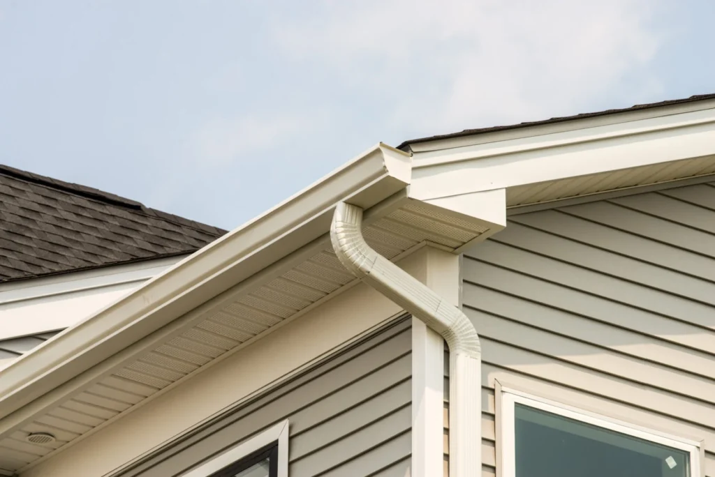 Gutters Service (1)