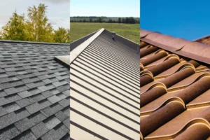 Asphalt Shingle, Metal, And Tile Roofing Samples — Central Florida
