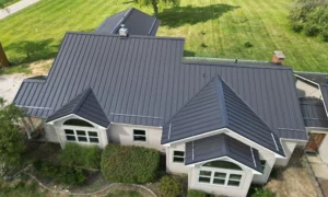 Standing Seam Metal Roof On Florida Home