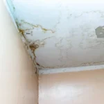 Roof Leak Damage On An Orlando FL Home