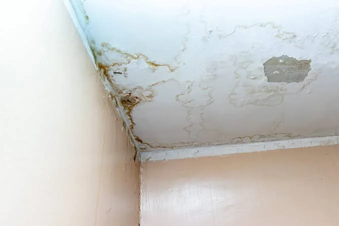 Roof Leak Damage On An Orlando FL Home